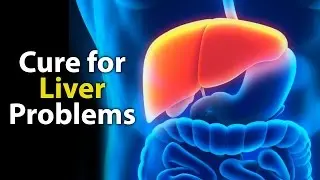 Cure for Liver Problems | Vedan | Care World Tv