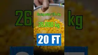 How to export Corn | import export Business | business idea by Harsh Dhawan