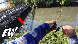 URBAN FISHING using BFS Fishing Rod | Y4E51