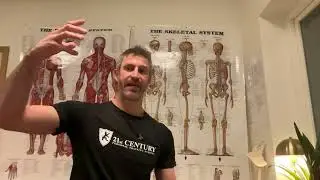 spinal column