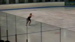 Ice dreams 2009