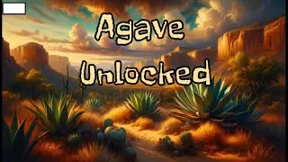 Agave Variety and Uses: Native American lore, Agave Identification