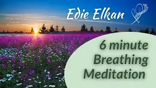 Guided Breathing Meditation with Harp Music by Edie Elkan