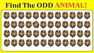 Find the odd one out Animal Game: Easy Medium Hard level