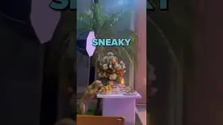 Sneaky Dog Steals Bread 😂 | Funny Shorts