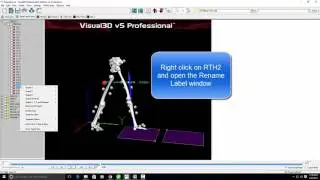 Tutorial: Correcting Mislabelled Markers