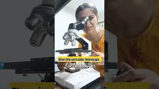 Curd Under Microscope 🔬 #bacteria #socialmedia  #ytshorts