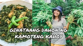 HOW TO COOK GINATAANG DAHON NG KAMOTENG KAHOY | STEP BY STEP | RAE XEL DIARIES