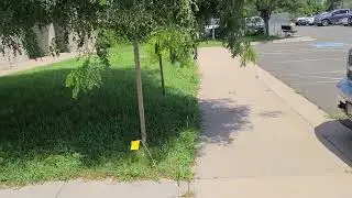 Terraseed Turf Conversion Express Mulching & Soil