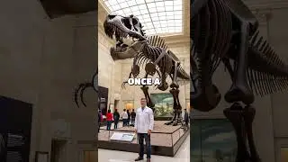 Unearthing the Past: How Paleontologists Bring Dinosaurs and Earth's History to Life!