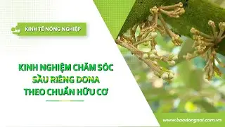 🍀 Kinh tế nông nghiệp 21-1-2026 | Thông tin hữu ích | ĐNNRTV