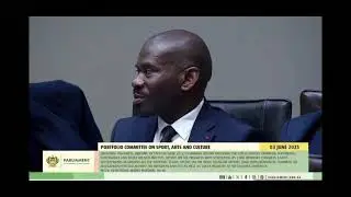 SA Football Association (Safa) appeared before the sports, arts and culture portfolio committee.