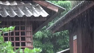 Relaxing Rain on Roof Sounds| 2 hr Slow + Soothing Rain Storm 🌧️⚡️