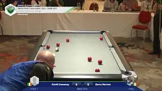 Irish Pool Challenge 2022 - Over 50's Final