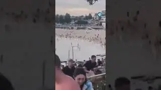 Ataque armado en Bondi Beach durante una celebraci&oacute;n de Januc&aacute; #shorts