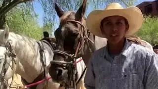 Horseback Riding at Sheridan Grand at Wild Horse Pass