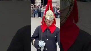 Horse Guard parade London #shorts