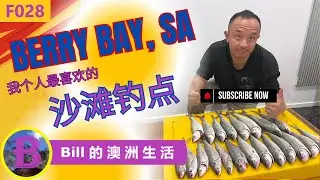 Berry Bay SA Fishing | Australian Salmon, Mullet, Tommy