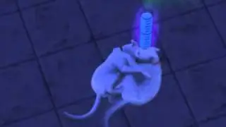 Sims 3 Pets-Cats playing