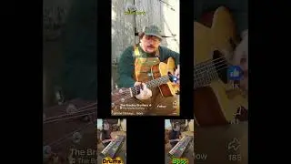 Did this collaboration cover with the Bradley Brothers.  Watermelon crawl by Tracy Byrd. ￼