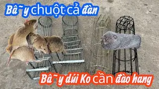 Lồng bẫy chuột 2 cửa - bẫy chuột cả đàn + lồng bẫy dúi nhận và nhậy nhất - GIÁ TẠI XƯỞNG 