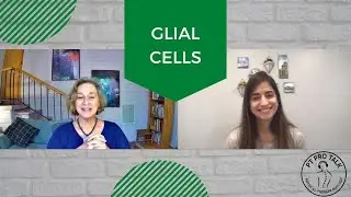 Exploring Glial Cells with Joanna Haymore: Unveiling the Mind-Body Connection