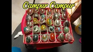 Campur campur Badar besi Klawing Tapak jalak  #592