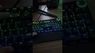 Efeitos rgb do teclado mec&acirc;nico husky anchorage. #gamer #pcgamer