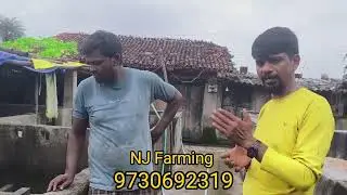 They are earning lakhs by rearing TND pigs along with the native pig farm. #pig_farm_traning #nj_...