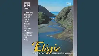 Concerto for 2 Horns & Violins in E-Flat Major, TWV 54:Es1: Grave