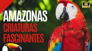 AMAZONAS: UN MUNDO OCULTO de CRIATURAS FASCINANTES | DOCUMENTAL en 4K