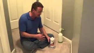 How to Clean Cat Urine - Removing Cat Urine from Carpet