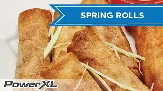 Shrimp and Veggie Crunchy Spring Rolls I PowerXL Air Fryer Vortex Recipes