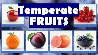 Flashcards: Temperate Fruits