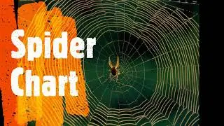 what is the spider chart Arabic