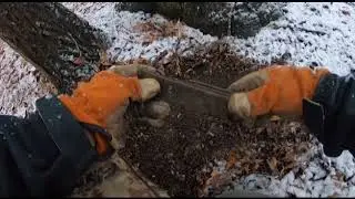 Digging History - Honoring the Sacrifice 