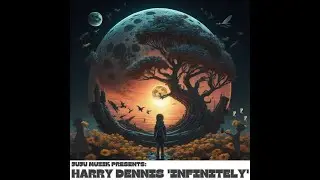 Infinitely Harry Dennis (Julian Garnett Acid Explosion Mix)