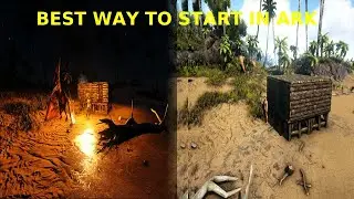 LEVEL 40+ And A FLYER  Beginners Guide To Ark