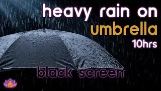 [Black Screen] Heavy Rain on Umbrella | Rain Ambience No Thunder | Rain Sounds for Sleeping
