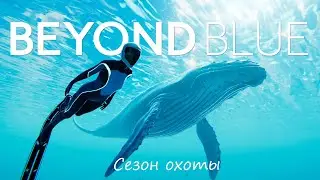 Beyond Blue. Сезон охоты.