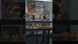 How carbon dating works?#facts #food #curiosity #science