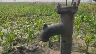 Water starts coming out automatically, miraculous hand pump tomorrow #Bihar