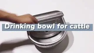 Automatic Floating Ball Drinking Water Bowl with Hole Animal Water Equipment Cows/Horse Drinker