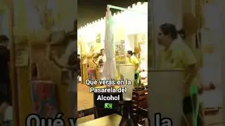 Descubre Bah&iacute;a y la pasarela del alcohol #beach #travel #vacaciones #vlogsdiarios #weeklyvlogs