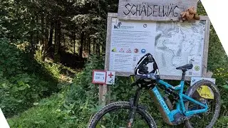 Schädelwäg in Oberried | Härtester Trail von Mountainbike Freiburg e.V.? | Wurzeln Steine Steil!!!