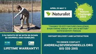 Rock River Valley City Nature Challenge 2022