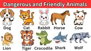 Danger VS Friendly Animals | Learn Animal Types for Kids | Kids Learning Video #dangervsfriendly