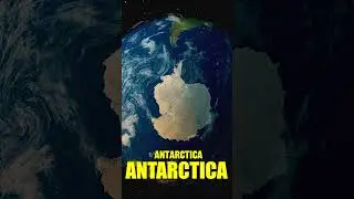 Ants Can Be Found On Every Continent Except.....