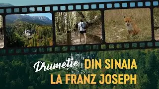 Drumeție: Sinaia - Poteca Regală - Poiana St&acirc;nii - St&acirc;ncile Franz Joseph | Video Guide