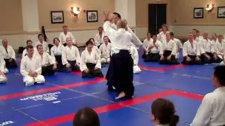 Osawa Sensei: Irimi nage